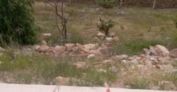 Terrenos en Venta en Gran Peñon