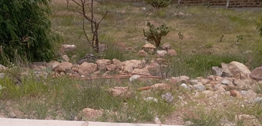 Terrenos en Venta en Gran Peñon