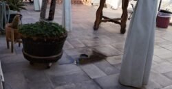 Casa en VENTA 📍 Col. del VALLE