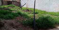 Terreno en VENTA 📍 Lomas 3a Secc.