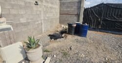 Terreno en VENTA 📍 Portezuelo S.L.P.