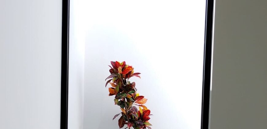 Casa en VENTA 📍 Priv. Parque Real